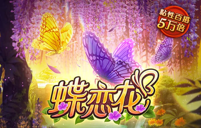 bobty体育入口最新版APP