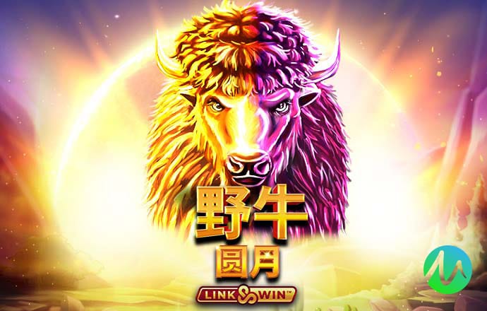 9393体育app入口